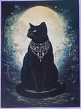 black cat cats postcard postcards post card cards uk cute kawaii stationery shop store witch magic magical planner supplies individual colourful bargain  lover lovers kitty