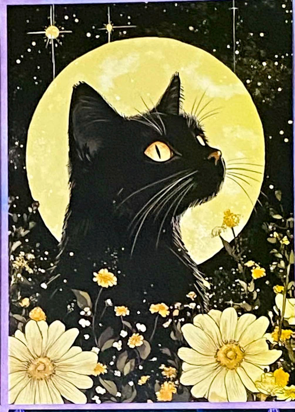 black cat cats postcard postcards post card cards uk cute kawaii stationery shop store witch magic magical planner supplies individual colourful bargain  lover lovers kitty
