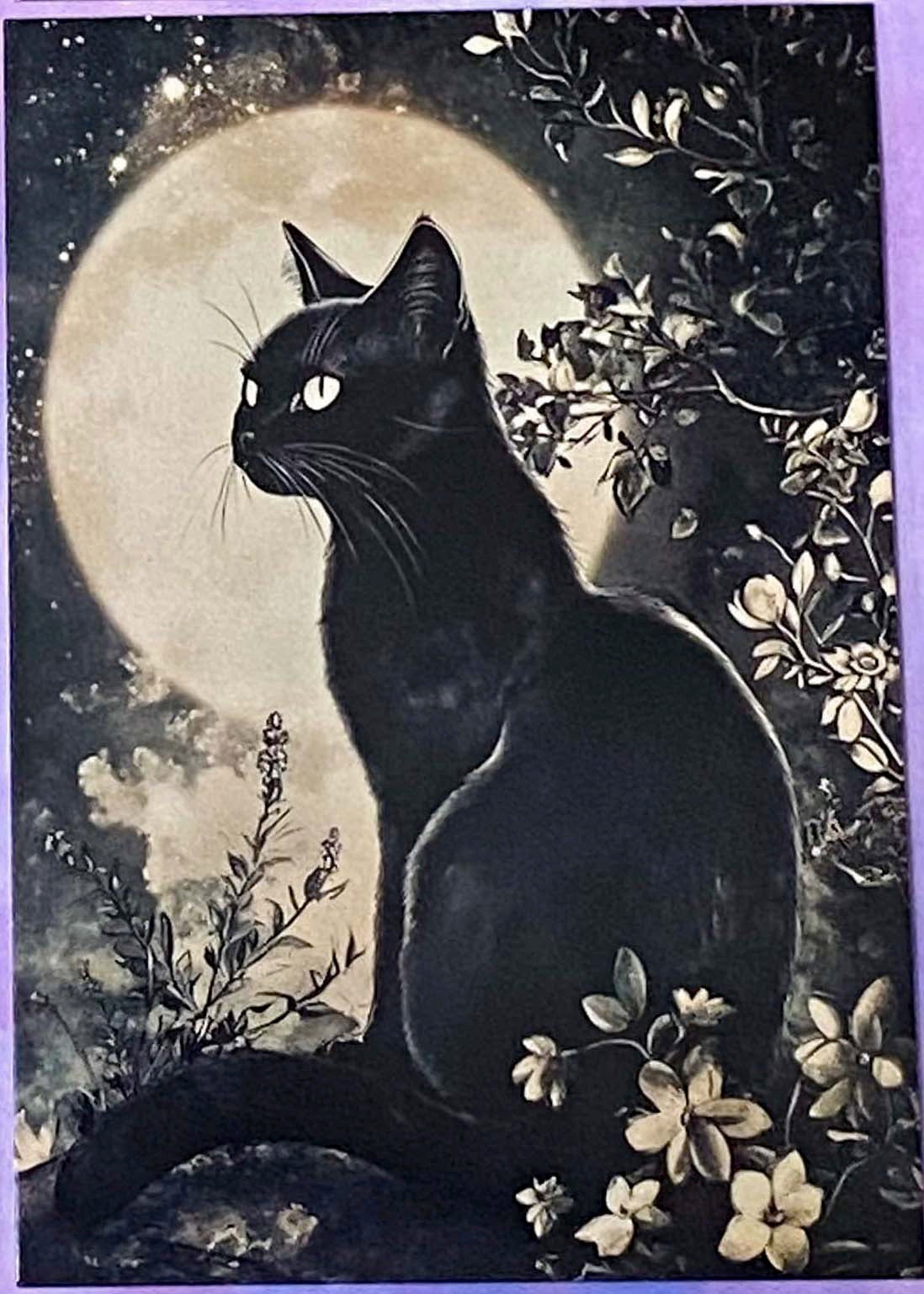 black cat cats postcard postcards post card cards uk cute kawaii stationery shop store witch magic magical planner supplies individual colourful bargain  lover lovers kitty
