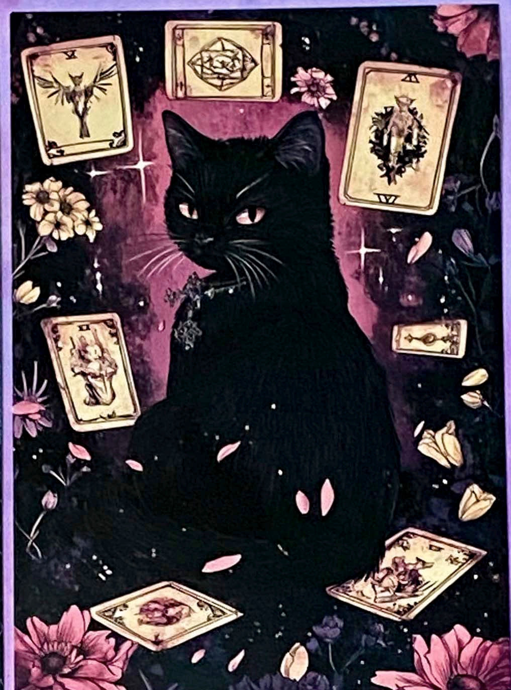 black cat cats postcard postcards post card cards uk cute kawaii stationery shop store witch magic magical planner supplies individual colourful bargain  lover lovers kitty