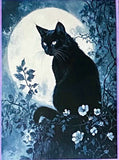 black cat cats postcard postcards post card cards uk cute kawaii stationery shop store witch magic magical planner supplies individual colourful bargain  lover lovers kitty