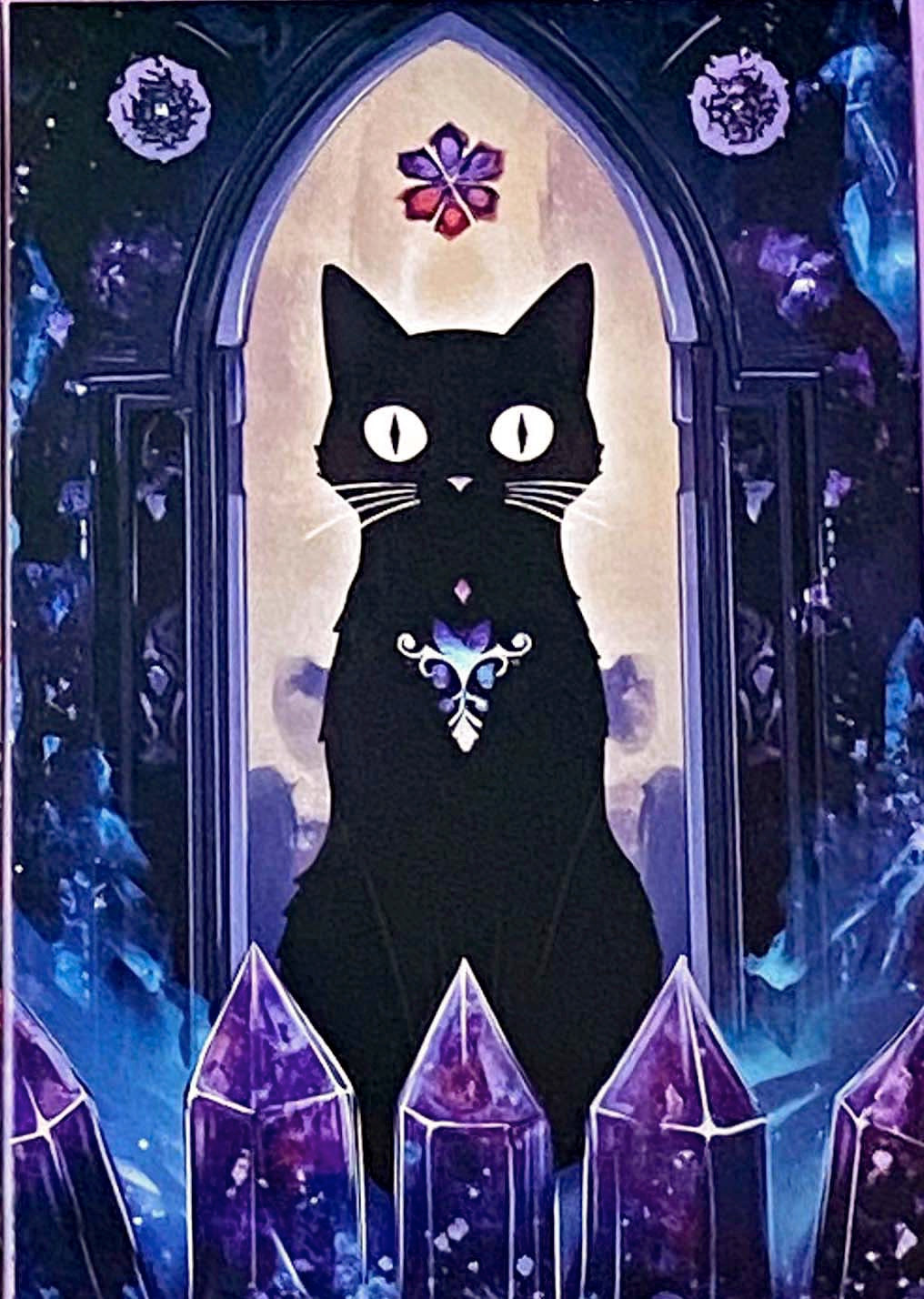 black cat cats postcard postcards post card cards uk cute kawaii stationery shop store witch magic magical planner supplies individual colourful bargain  lover lovers kitty