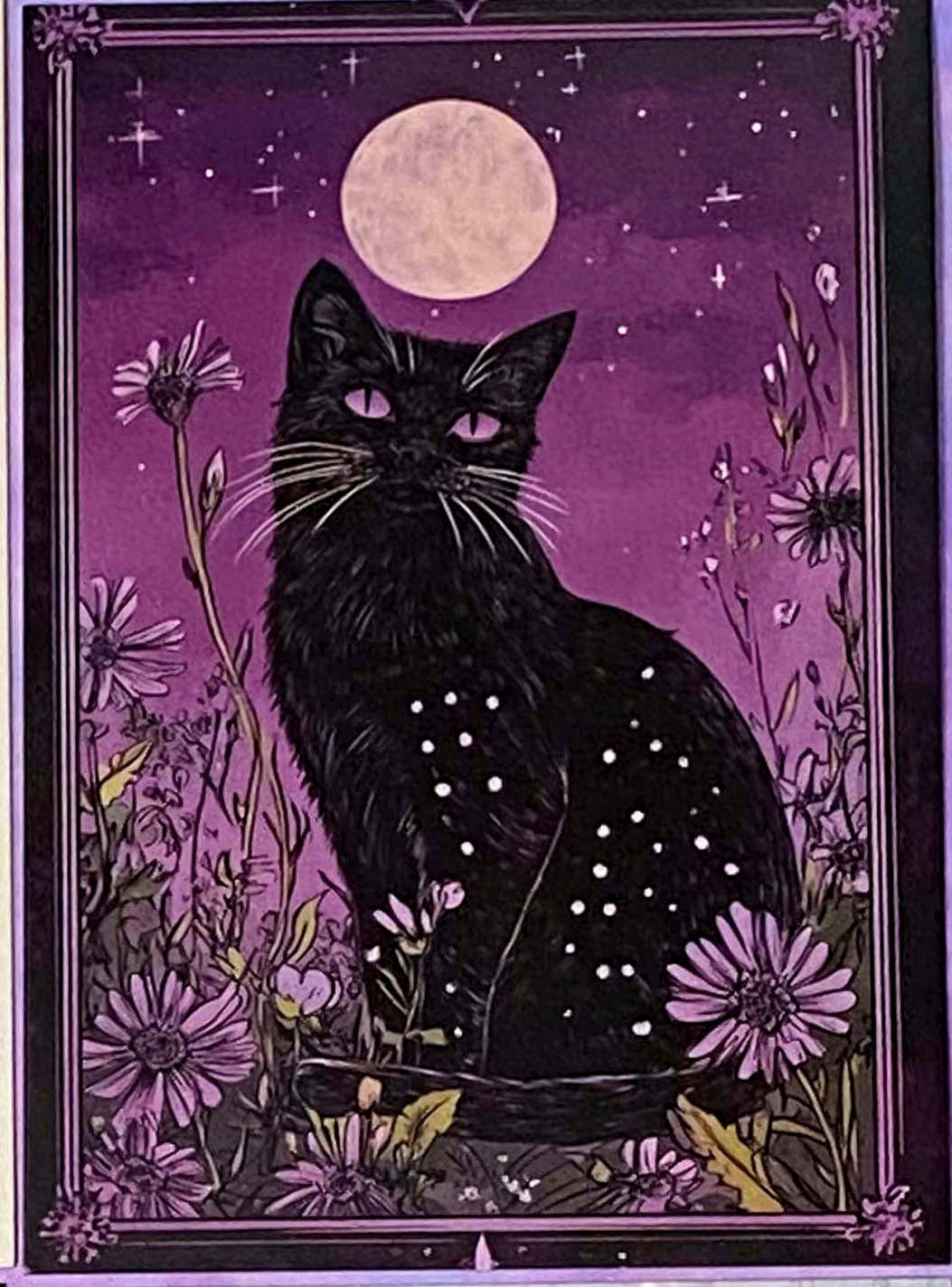 black cat cats postcard postcards post card cards uk cute kawaii stationery shop store witch magic magical planner supplies individual colourful bargain  lover lovers kitty