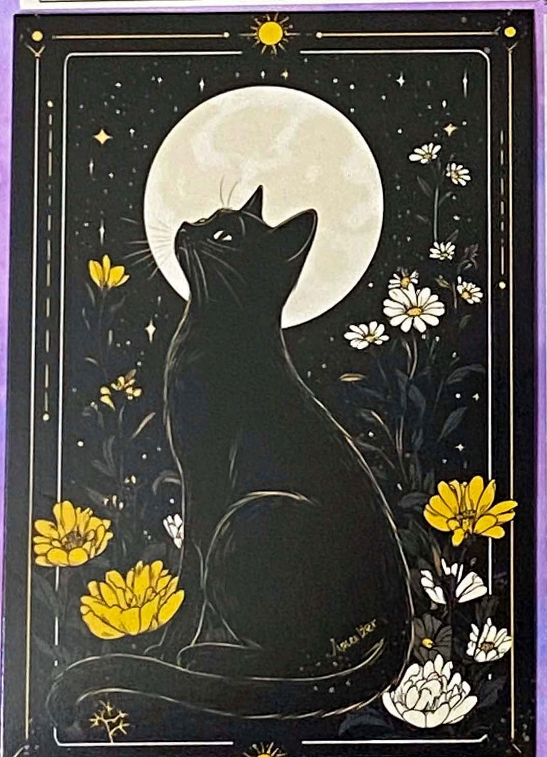 black cat cats postcard postcards post card cards uk cute kawaii stationery shop store witch magic magical planner supplies individual colourful bargain  lover lovers kitty