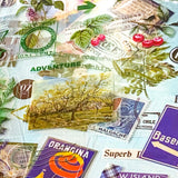pack of 25 clear sticker sheets in blue and green theme featuring vintage butterflies, postage stamps, flowers, plants and retro packaging of products labels