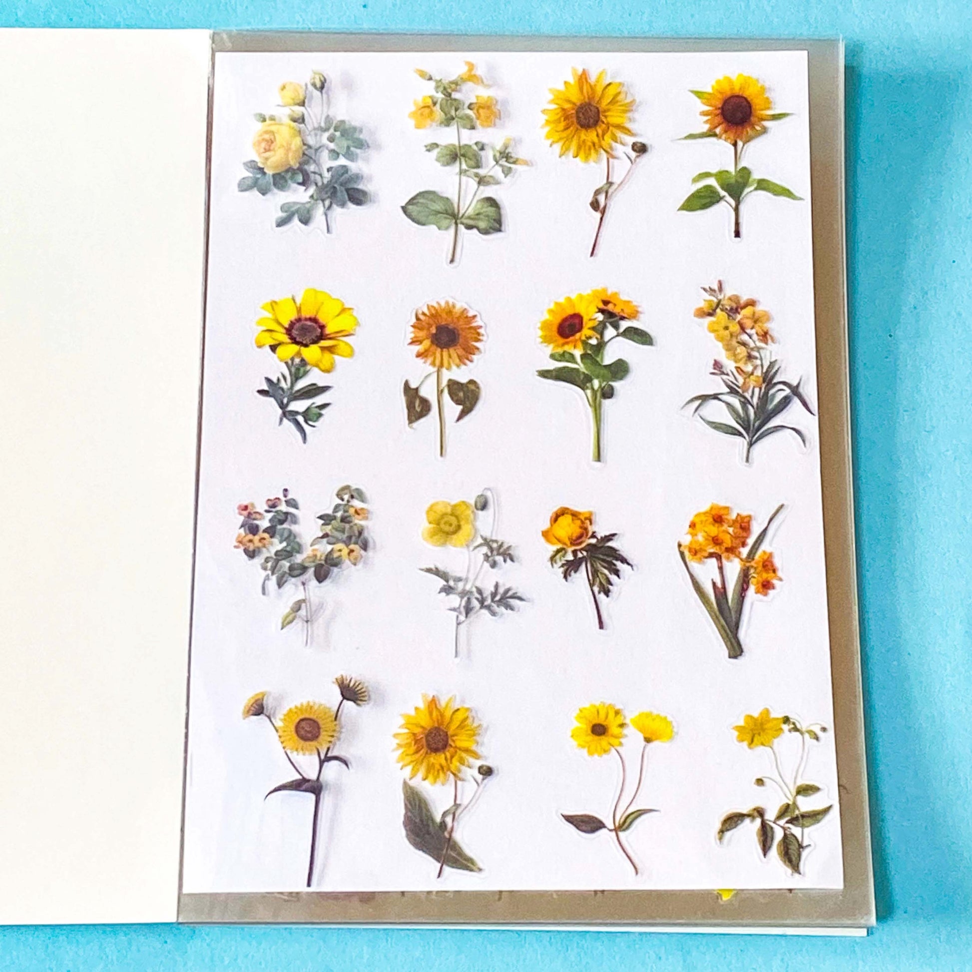 vintage floral clear sticker book with 20 pages of botanical flower stickers including rose, daisy, sunflowers and blossom.