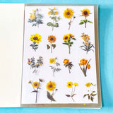 vintage floral clear sticker book with 20 pages of botanical flower stickers including rose, daisy, sunflowers and blossom.
