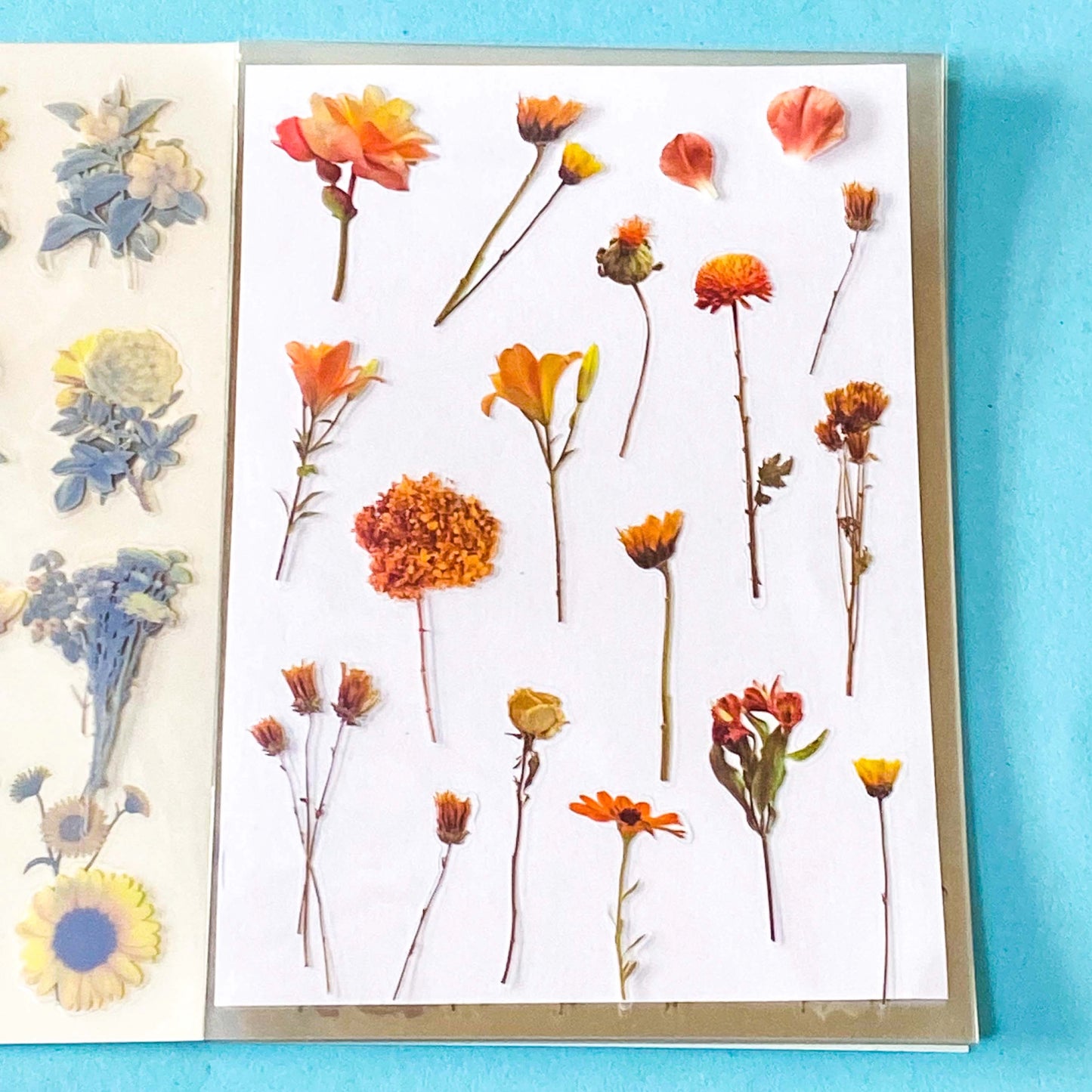 vintage floral clear sticker book with 20 pages of botanical flower stickers including rose, daisy, sunflowers and blossom.