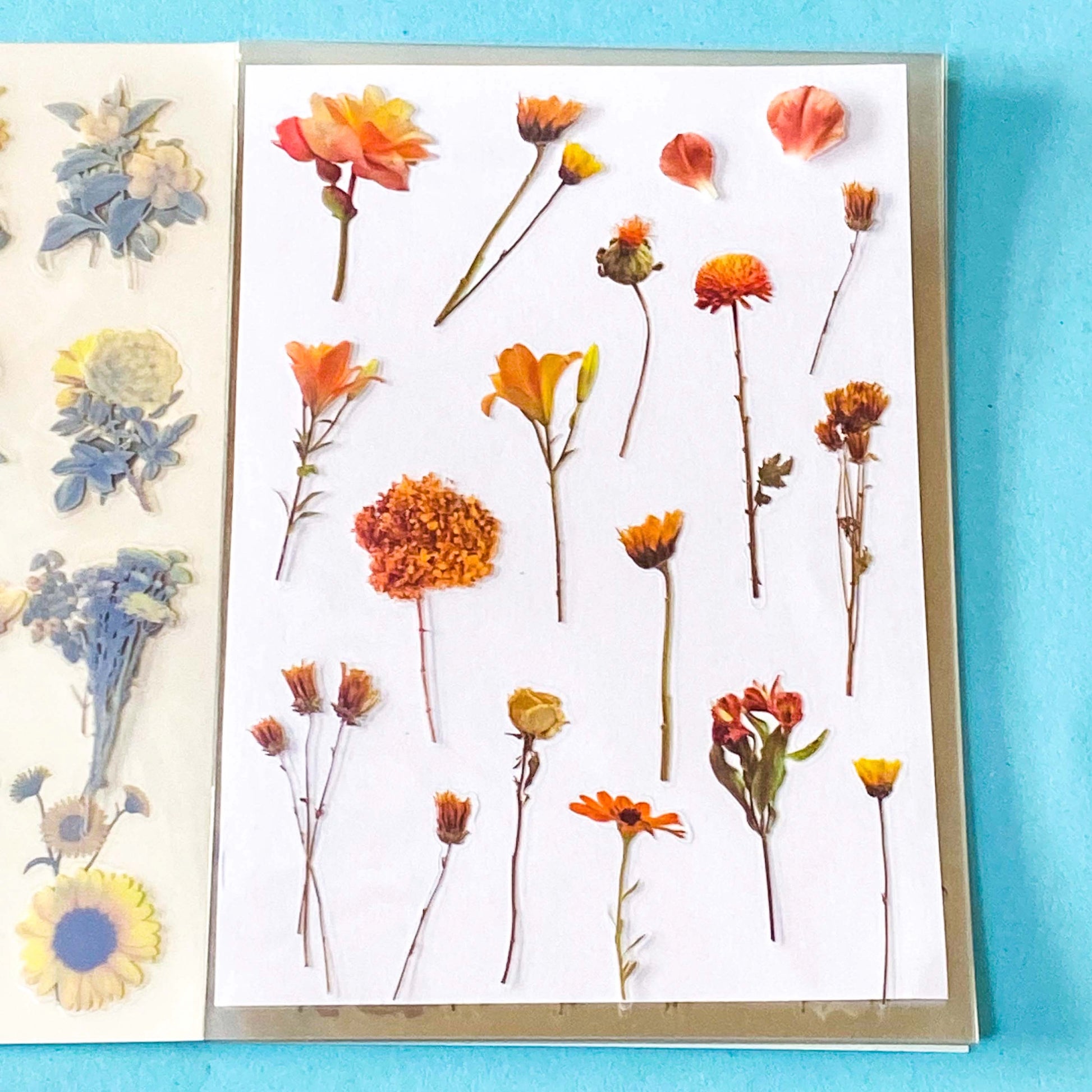 vintage floral clear sticker book with 20 pages of botanical flower stickers including rose, daisy, sunflowers and blossom.