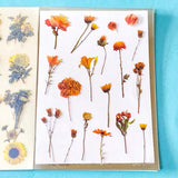 vintage floral clear sticker book with 20 pages of botanical flower stickers including rose, daisy, sunflowers and blossom.