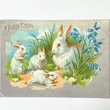 spring postcard postcards car cards greetings easter springtime flower flowers nature rabbit rabbits bunny bunnies nostalgia vintage retro old fashioned drawings sepia distressed chick uk cute kawaii stationery gifts sticker stickers seals envelopes envelope victorian