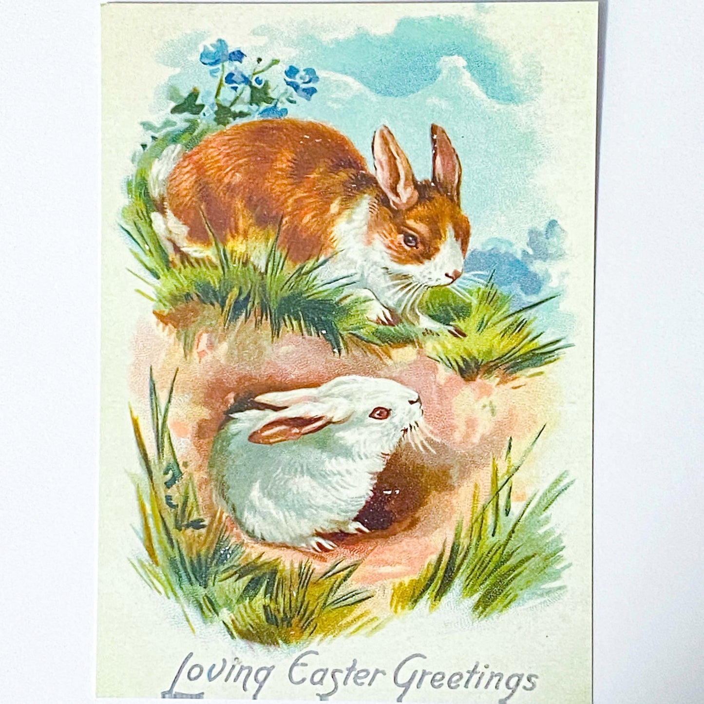 spring postcard postcards car cards greetings easter springtime flower flowers nature rabbit rabbits bunny bunnies nostalgia vintage retro old fashioned drawings sepia distressed chick uk cute kawaii stationery gifts sticker stickers seals envelopes envelope victorian