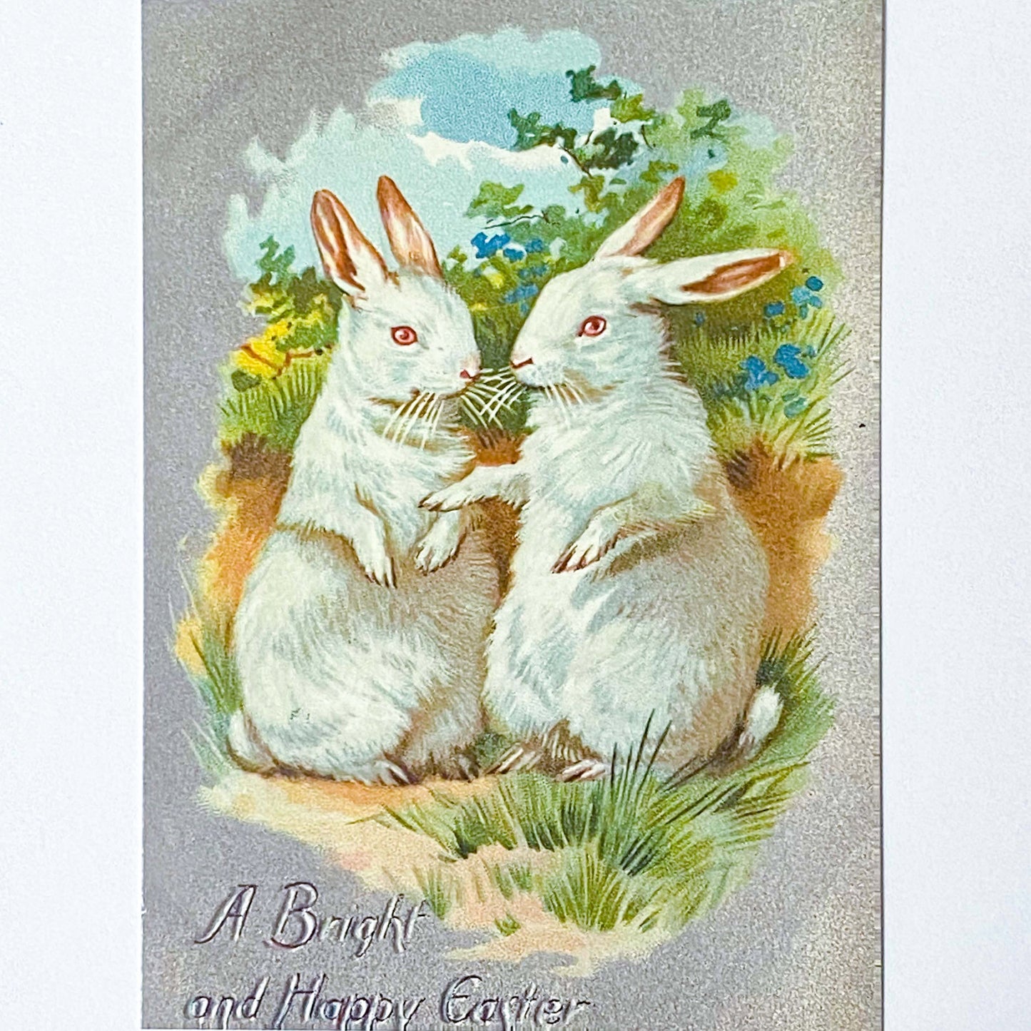 spring postcard postcards car cards greetings easter springtime flower flowers nature rabbit rabbits bunny bunnies nostalgia vintage retro old fashioned drawings sepia distressed chick uk cute kawaii stationery gifts sticker stickers seals envelopes envelope victorian