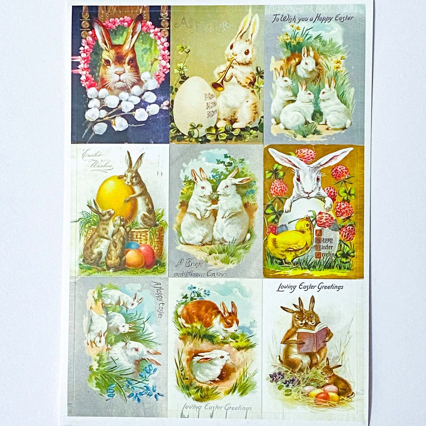 spring postcard postcards car cards greetings easter springtime flower flowers nature rabbit rabbits bunny bunnies nostalgia vintage retro old fashioned drawings sepia distressed chick uk cute kawaii stationery gifts sticker stickers seals envelopes envelope victorian