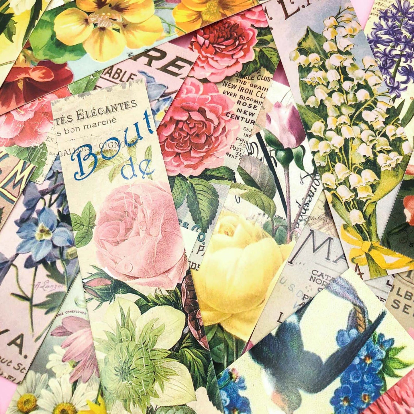 floral flower flowers card bookmark book mark bookmarks retro vintage seed packet seeds catalogues cute kawaii cardboard stationery uk victorian blooms spring set