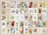 mini green botanical paper and vellum book filled with 100 vintage floral and plant illustration pages