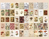 mini red mushroom scrapbook paper and vellum book filled with woodland fungi and natural history style vintage papers