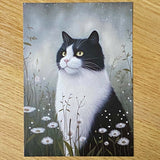 adorable cat cats kitten kitty black tabby ginger brown grey blue cute kawaii individual postcard postcards post card cards uk stationery shop store supplies gift gifts floral flowers ocean orange oranges