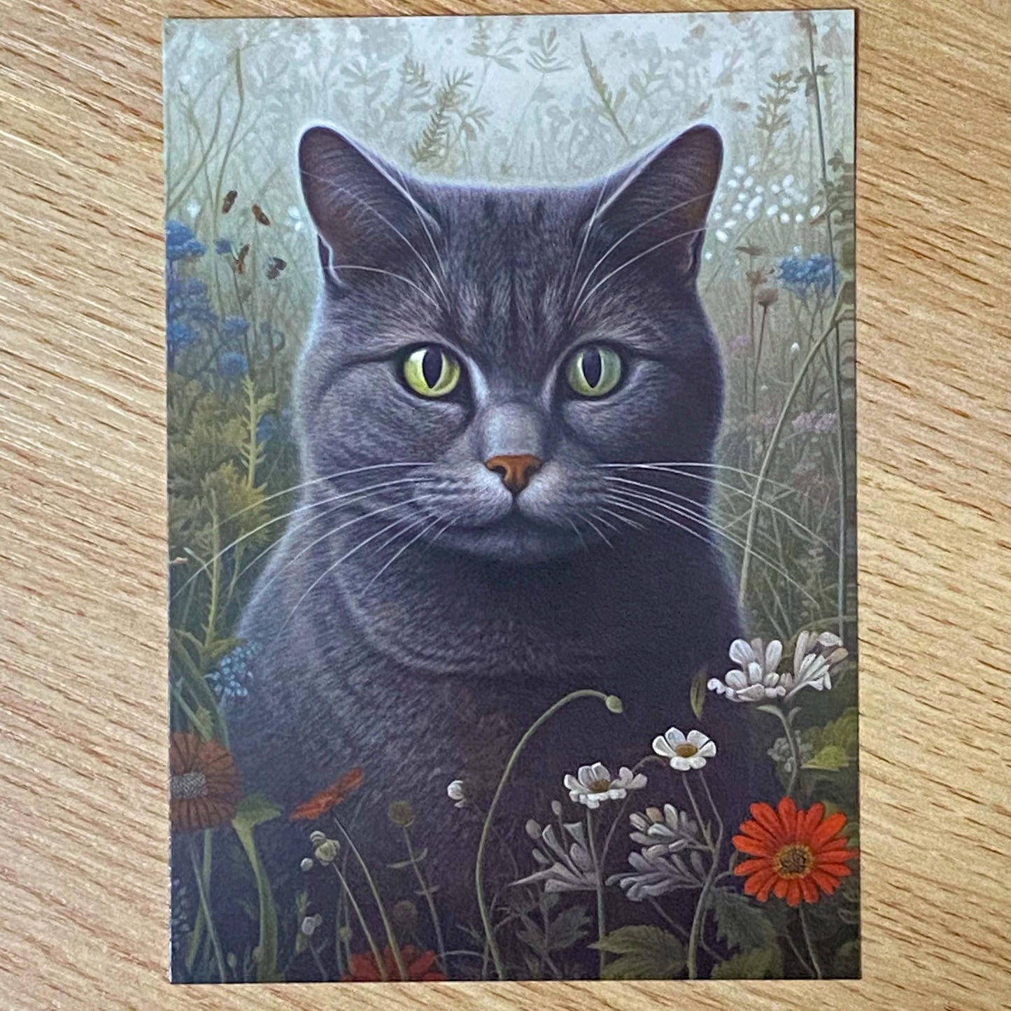 OUTDOOR CAT Individual Kitty POSTCARD & STICKERS/ENVELOPES
