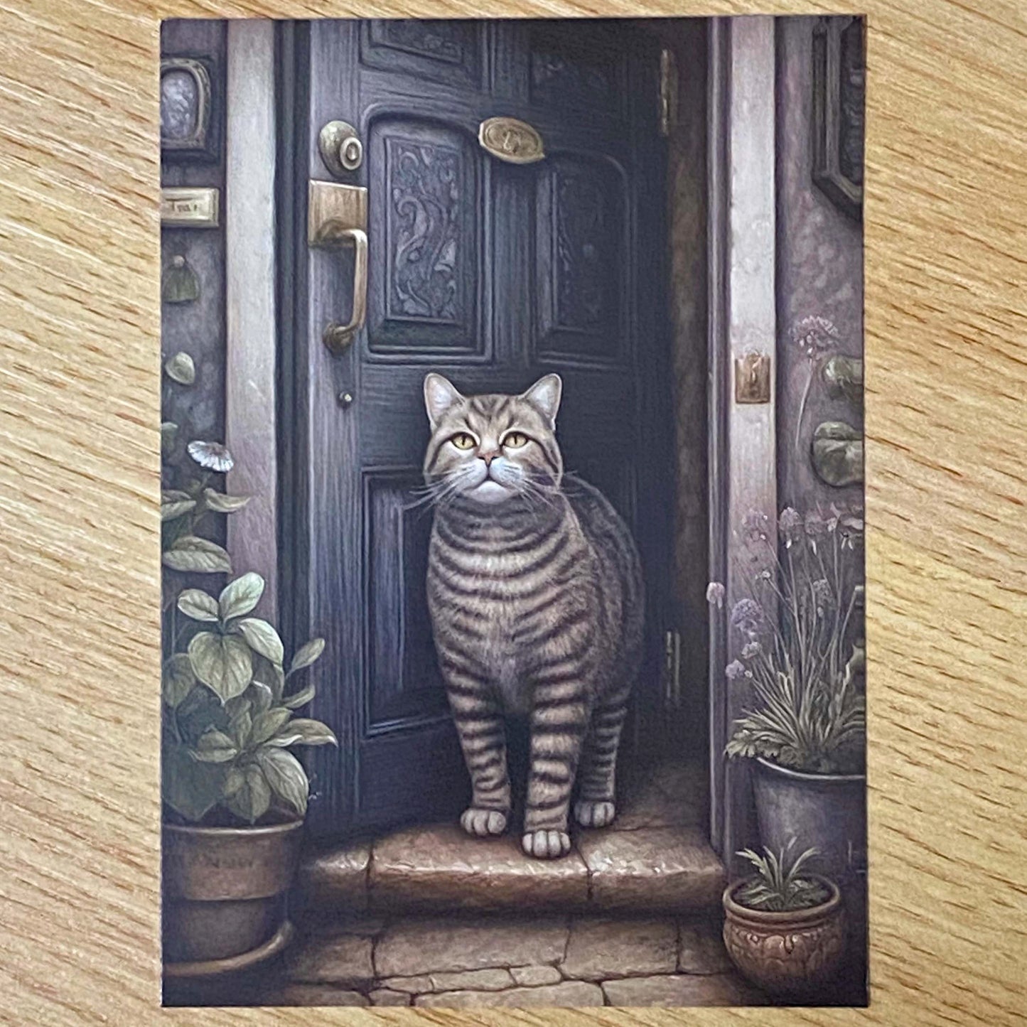 OUTDOOR CAT Individual Kitty POSTCARD & STICKERS/ENVELOPES