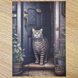 OUTDOOR CAT Individual Kitty POSTCARD & STICKERS/ENVELOPES