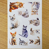 adorable cat cats kitten kitty black tabby ginger brown grey blue cute kawaii individual postcard postcards post card cards uk stationery shop store supplies gift gifts floral flowers ocean orange oranges sticker seals