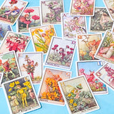 set of 24 vintage flower fairy alphabet stickers featuring botanical fairy illustrations with letters, satin finish and rounded corners
