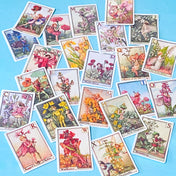 set of 24 vintage flower fairy alphabet stickers featuring botanical fairy illustrations with letters, satin finish and rounded corners