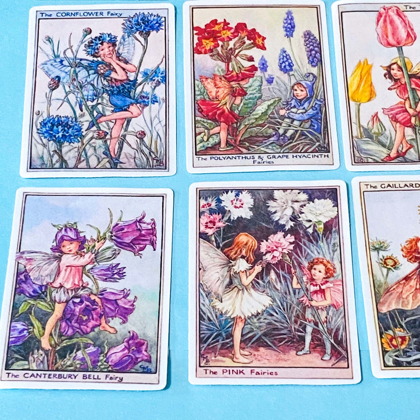set of 16 large vintage style flower fairy satin stickers featuring botanical illustrations of fairies with flowers including lavender, tulip and poppy, with rounded corners