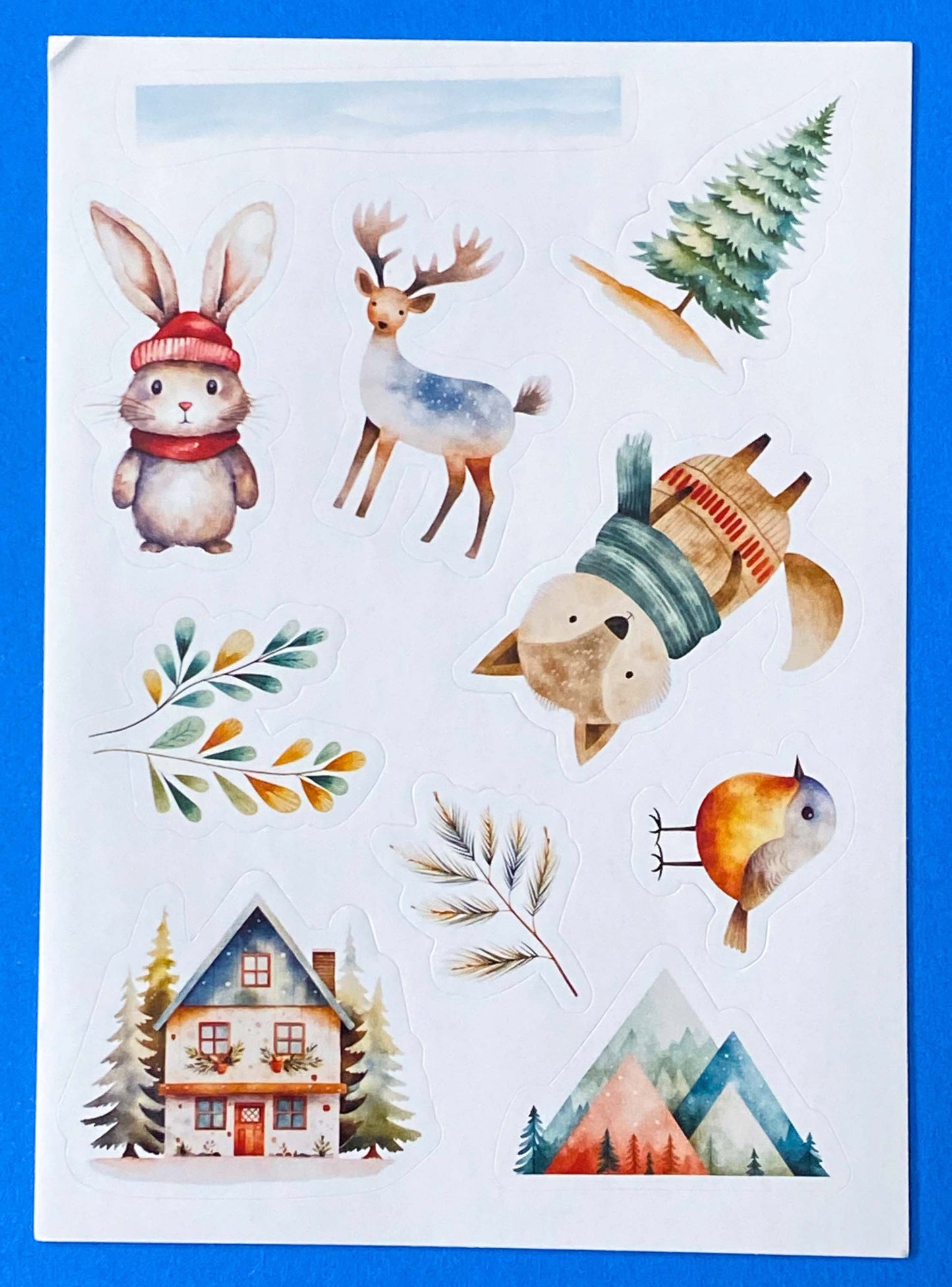 STARRY SKY FESTIVE POSTCARD & Stickers