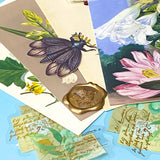 vintage botanical postcards fanned out with floral illustrations, die cuts and flower stickers nature stationery set