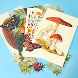 vintage botanical postcards fanned out with floral illustrations, die cuts and flower stickers nature stationery set