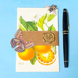 vintage botanical Kew Gardens postcard bundle wrapped in kraft belly band with wax seal sticker with insect die cuts and floral stickers ephemera