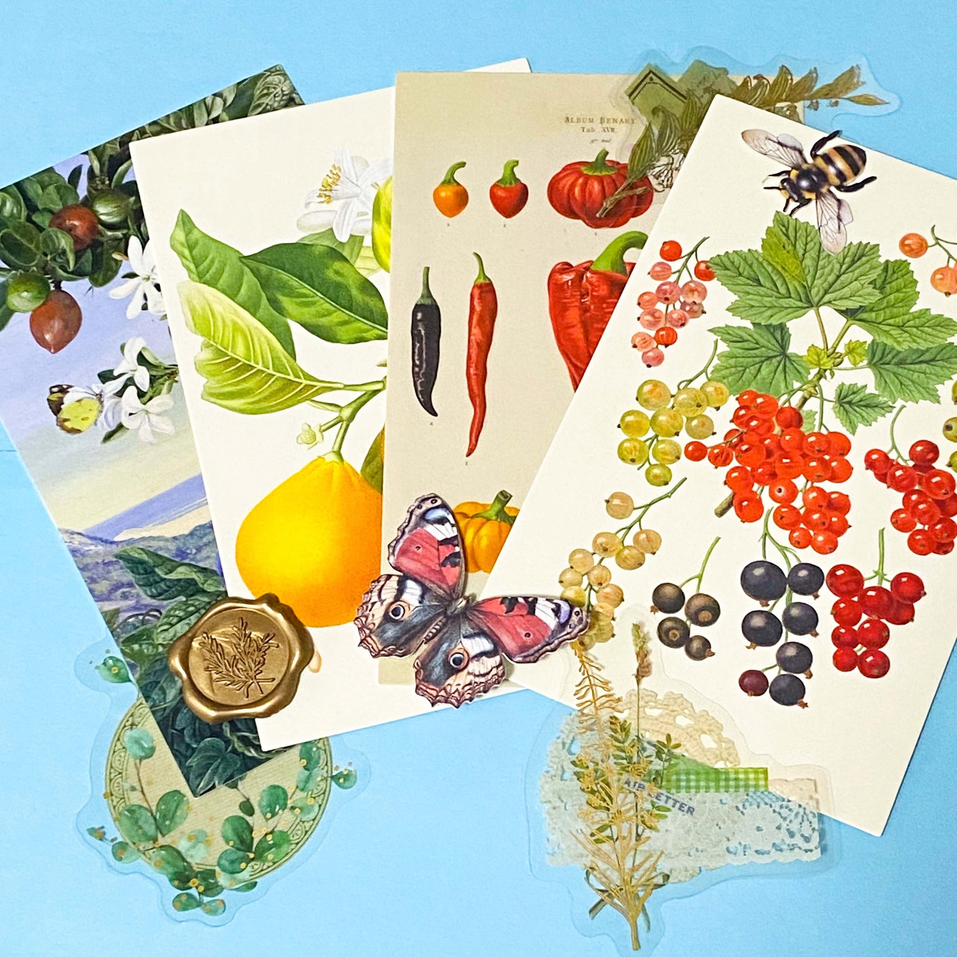 vintage botanical postcards fanned out with floral illustrations, die cuts and flower stickers nature stationery set