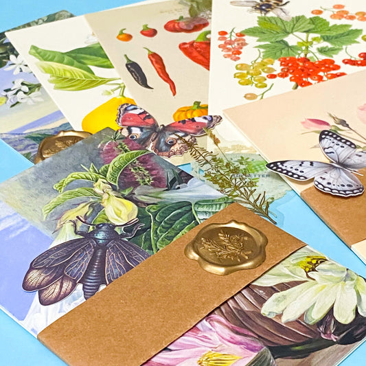 botanical postcard gift set vintage floral bundles kraft belly band wax seal stationery collection
