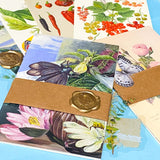 botanical postcard gift set vintage floral bundles kraft belly band wax seal stationery collection