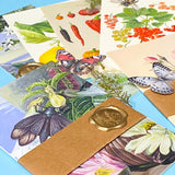 botanical postcard gift set vintage floral bundles kraft belly band wax seal stationery collection