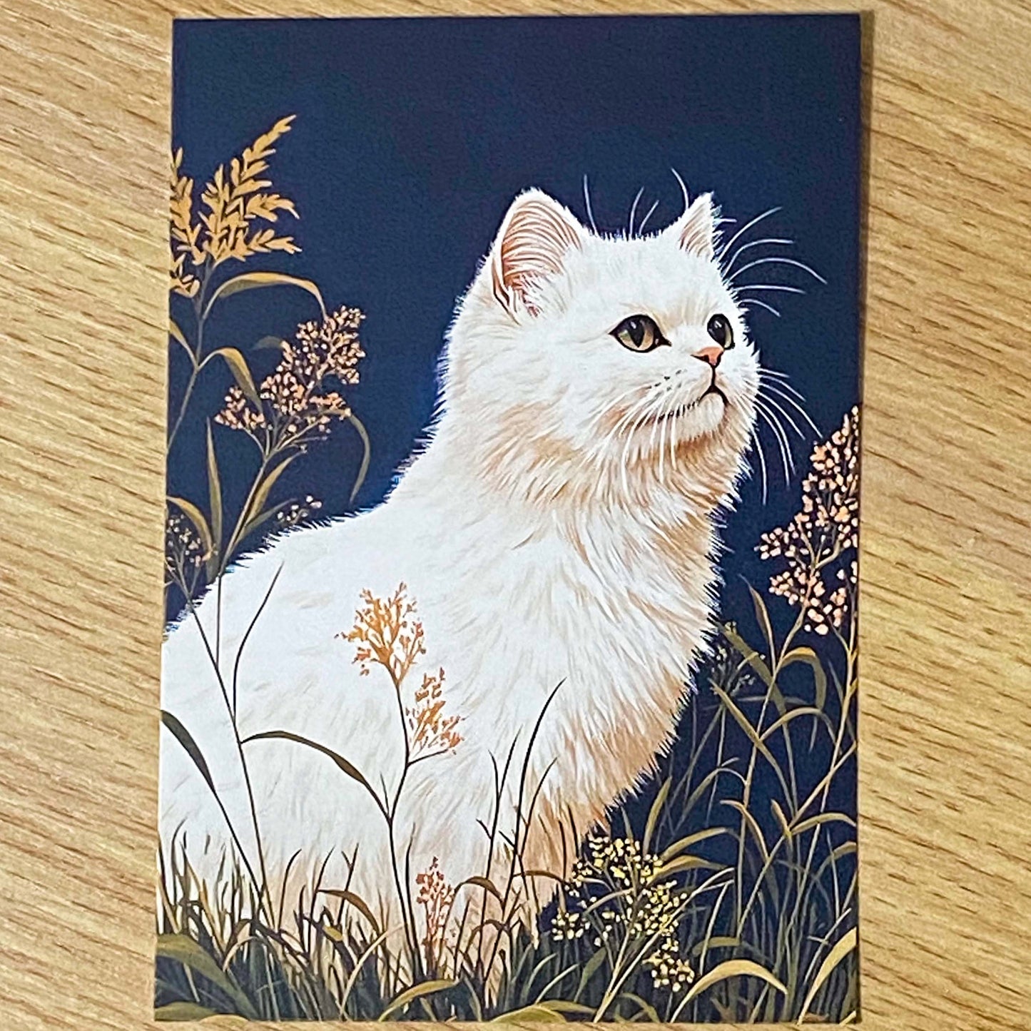opulent cat cats postcard postcards post card cards blank uk cute kawaii colourful kitten kitty floral flowers flower individual blue peach cream orange black stationery shop store