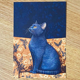 opulent cat cats postcard postcards post card cards blank uk cute kawaii colourful kitten kitty floral flowers flower individual blue peach cream orange black stationery shop store