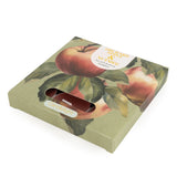 apple and nutmeg autumn winter christmas festive scented tea light lights tealight tealights box boxed set of 9 beautiful gift gifts shop store uk cute kawaii botanical pretty present for her mum sister candlelight company ltd nature