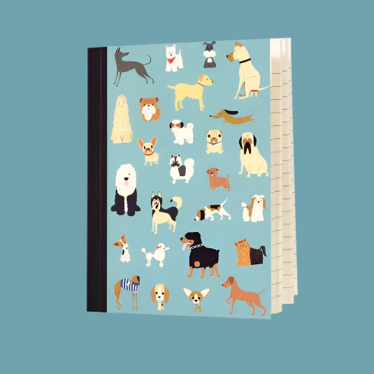 Pocket Money Bargain MEMOS & NOTEBOOKS -Perfect Kawaii Gifts