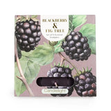 blackberry and fig tea light tealight tealights lights scented christmas autumn gift gifts shop store uk cute kawaii botanical nature beautiful for her women female box boxed set of 9 candlelight fruit fruits berries