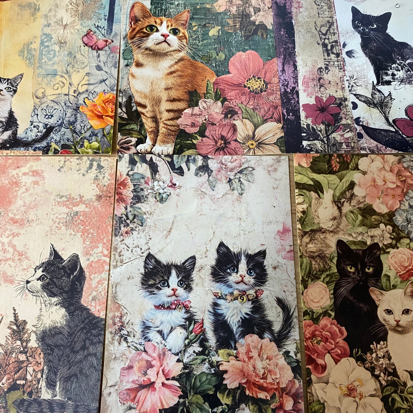 vintage retro antique style cat cats postcard postcards bundle of 4 old blank cards post card uk cute kawaii pretty stationery shop store planner addict set kitty kittens sepia floral flowers
