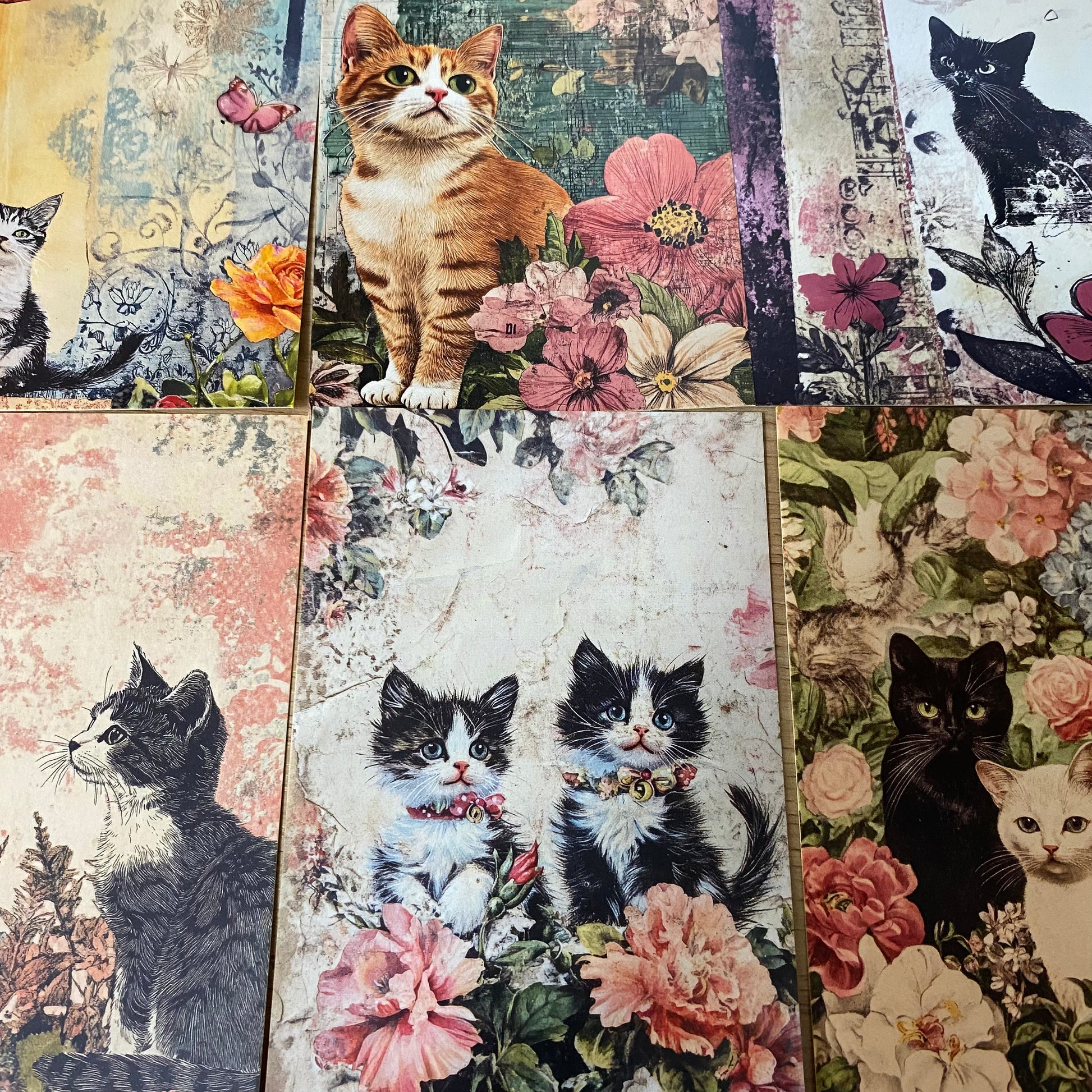 vintage retro antique style cat cats postcard postcards bundle of 4 old blank cards post card uk cute kawaii pretty stationery shop store planner addict set kitty kittens sepia floral flowers