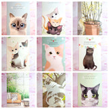 cute pastel kawaii cat cats kitten kitty postcard post card postcards uk stationery individual pretty white black grey ginger tortoiseshell tabby cards kittens pretty  floral flowers