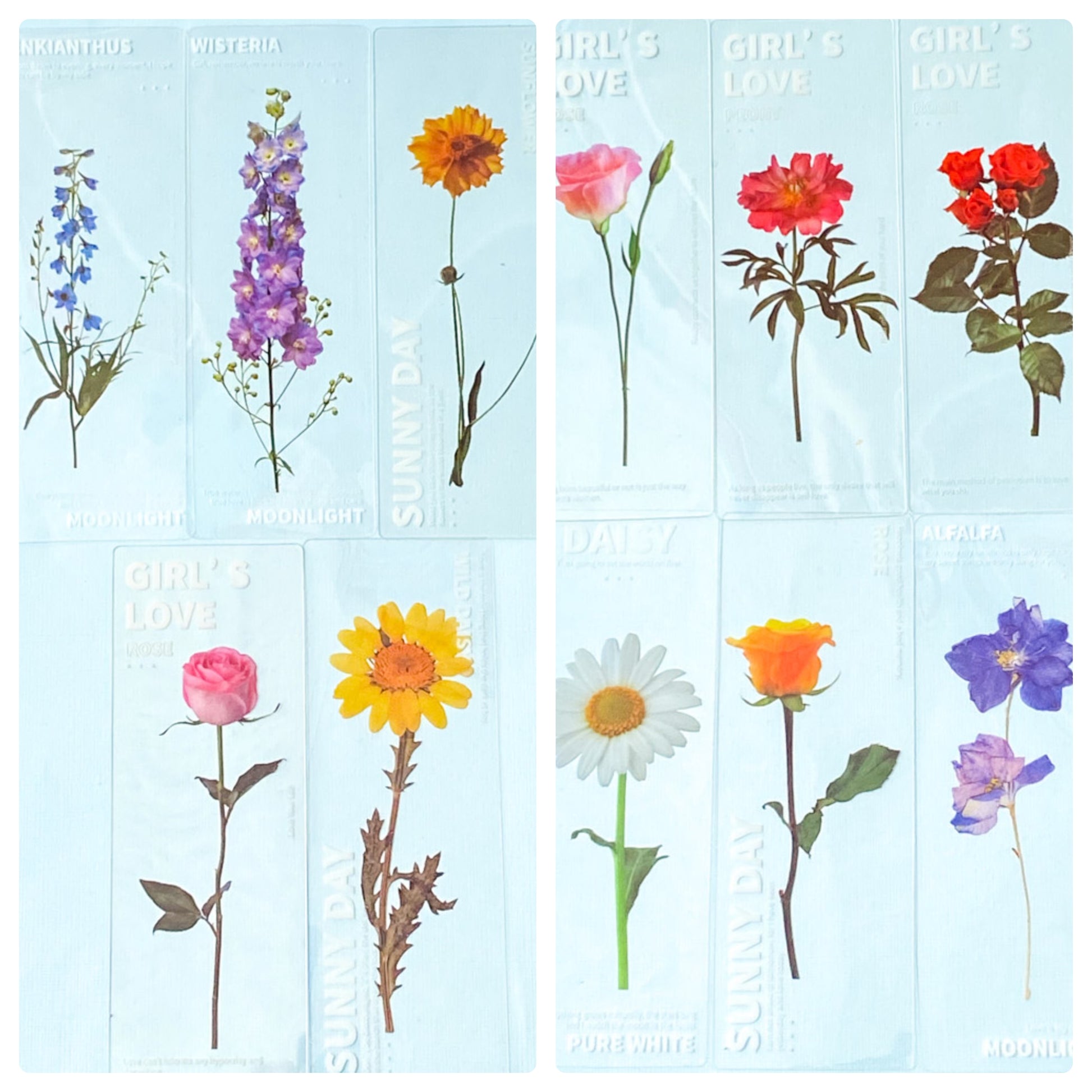 clear pet plastic bookmarks rounded corner uk cute kawaii stationery floral flower flowers spring tulip daffodil daisy violet yellow pink blue white bookmark rose delphinium lilac purple roses red