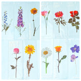 clear pet plastic bookmarks rounded corner uk cute kawaii stationery floral flower flowers spring tulip daffodil daisy violet yellow pink blue white bookmark rose delphinium lilac purple roses red