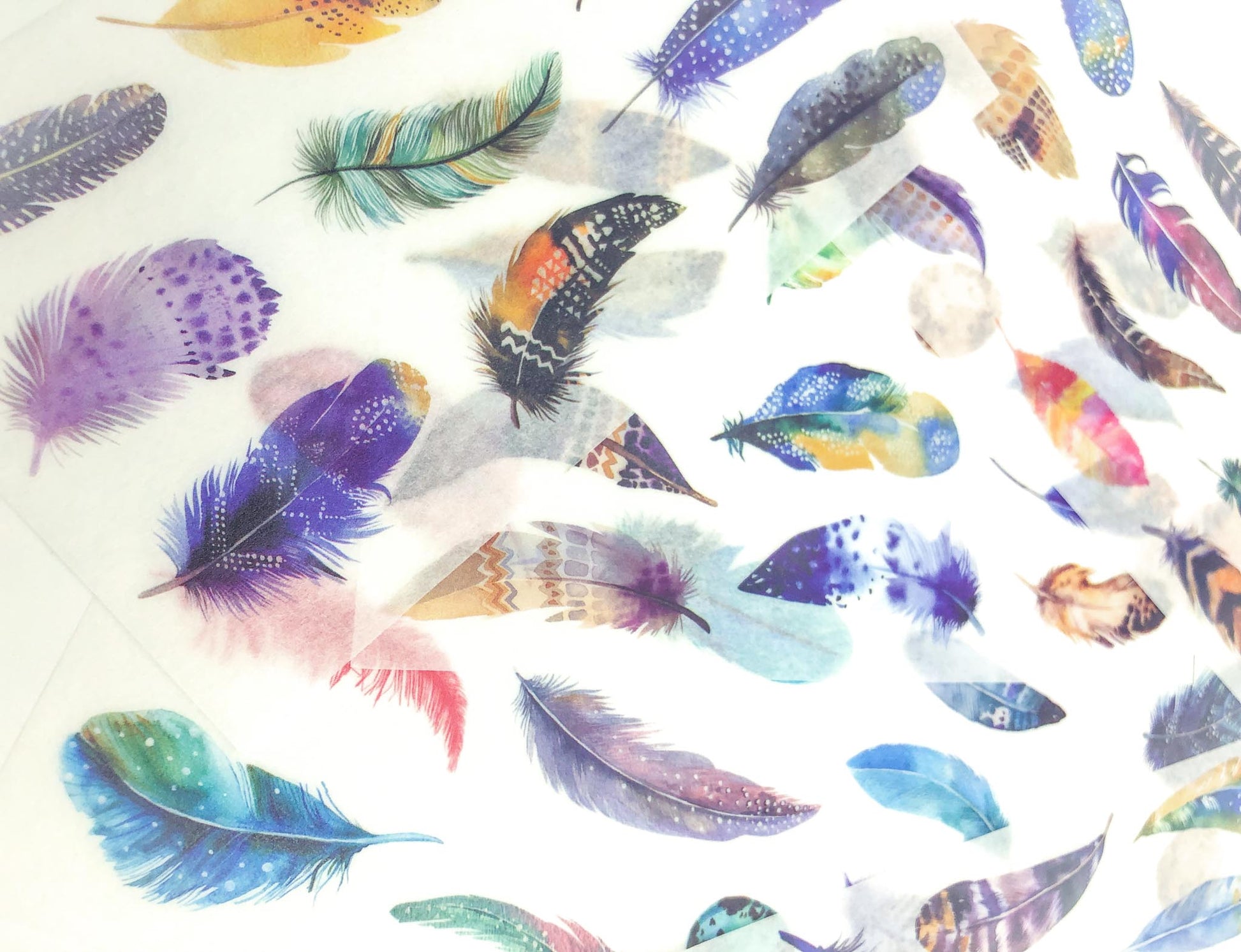 bright feather feathers bird egg eggs translucent washi paper sticker stickers sheets pack 6 kawaii cute uk stationery gifts birds tracing paper matte
