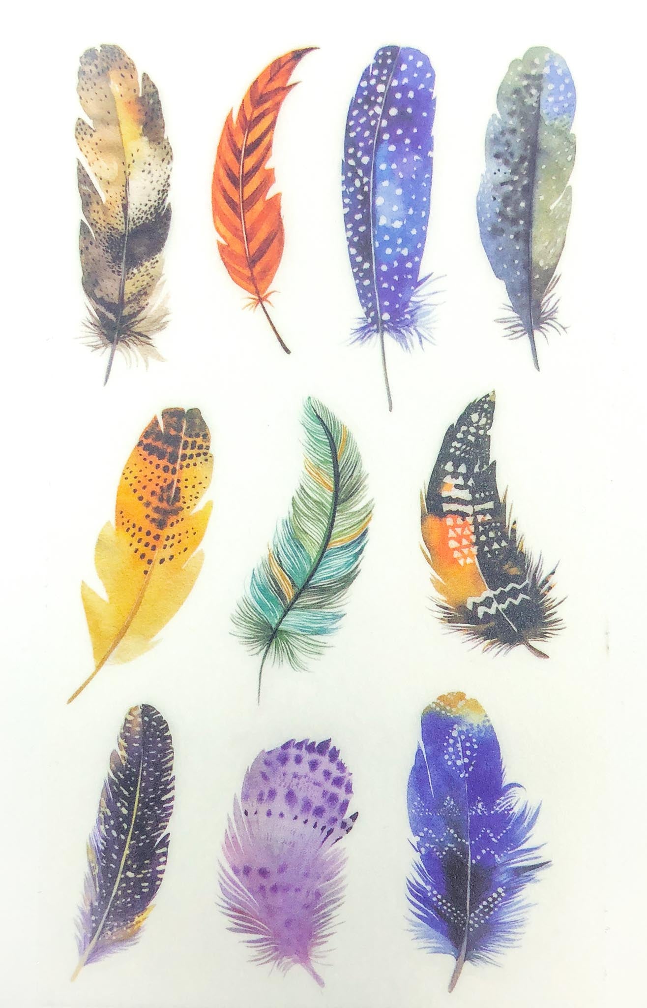 bright feather feathers bird egg eggs translucent washi paper sticker stickers sheets pack 6 kawaii cute uk stationery gifts birds tracing paper matte