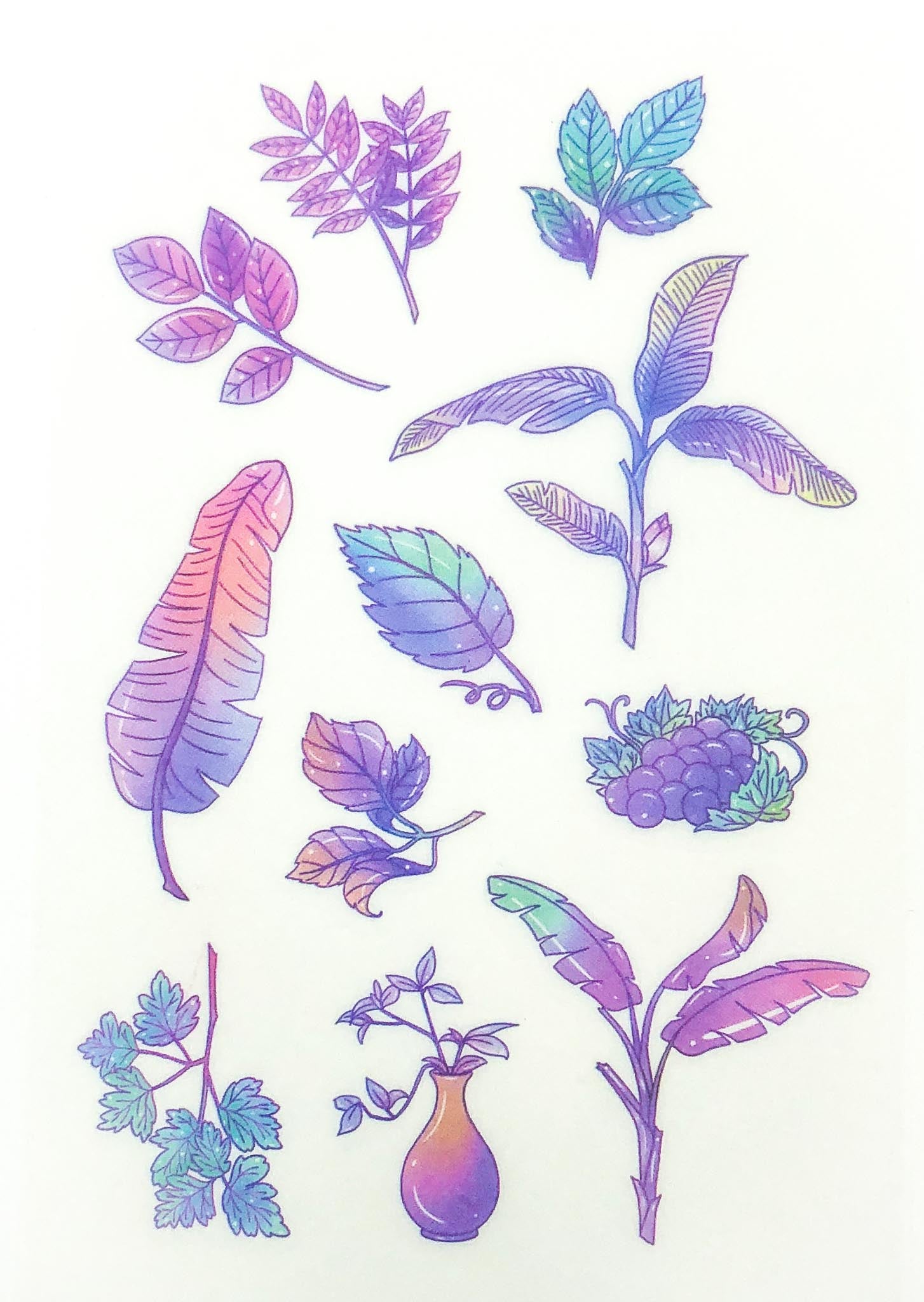watercolour floral flowers and plants leaves pink and purple bright shades sticker stickers sheets pack 6 translucent washi paper matte uk cute kawaii stationery succulent cactus plant